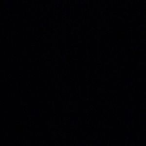 Meet your Posher, Jasmin